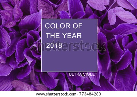 Trendy color concept of the year. Set with ultra violet color. Royalty-Free Stock Photo #773484280