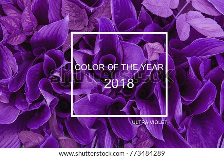 Trendy color concept of the year. Set with ultra violet color. Royalty-Free Stock Photo #773484289