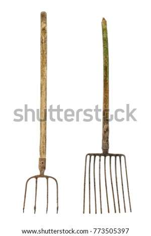Old dirty pitchforks isolated on white background.