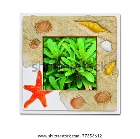 Frame of sea shell on green plant in garden