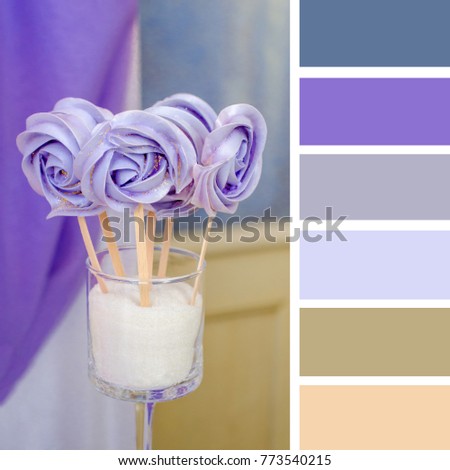 Color matching palette with complimentary colour swatches. Ultra violet candy on a stick sweet assorted. Royalty-Free Stock Photo #773540215