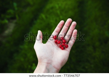 a bunch of ripe, juicy, red berries lies in the hand