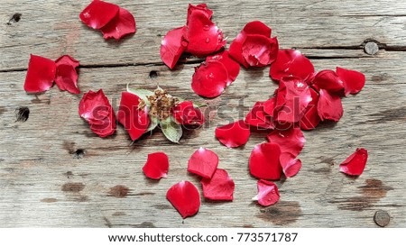 Red rose petals on old wooden background