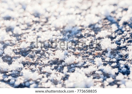 Cold winter background. Frozen snowflakes close up