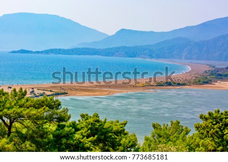 Iztuzu beach in Dalyan is that rare thing in the Aegean a 5km arc of golden sand stretching from the base of a pine-clad Taurus mountain to a river delta. Mugla-Turkey Royalty-Free Stock Photo #773685181