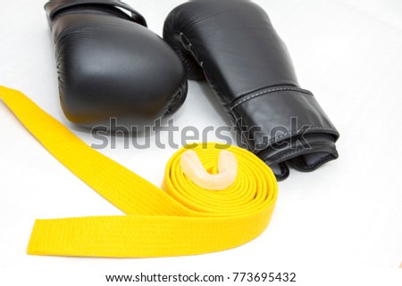 gloves and belt kickboxing