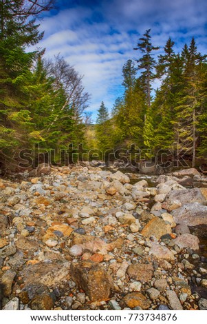 A remote shallow stream bed in the High Peaks region or the Adriondack Park   Royalty-Free Stock Photo #773734876