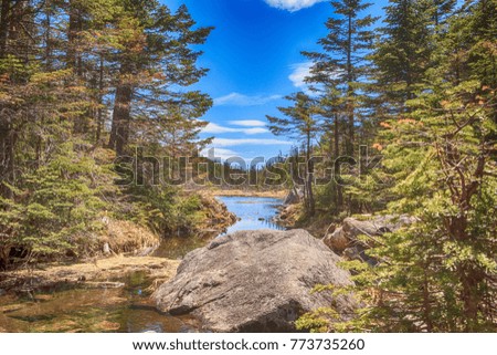 Adirondack Lake View with Mountains Royalty-Free Stock Photo #773735260