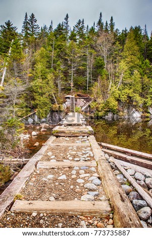 Trail Bridge on the Forest in teen High Peaks region of the Adirondack Park in New York State, USA Royalty-Free Stock Photo #773735887