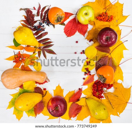 Autumn still life of harvest with leaves on white wooden desk with copy space. Mockup for seasonal offers and holiday post card, top view