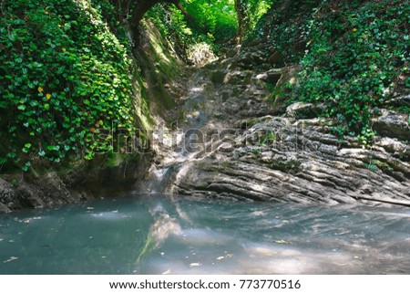 Forested slope covered with ivy and moss with a flowing waterfall