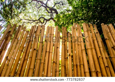 The surface texture of the bamboo set for decorating the wall