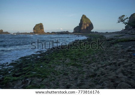 INDONESIA: Scenery of Tanjung Papuma Beach with rock and mossy foreground. Papuma beach is located at Jember,Surabaya, East Java.