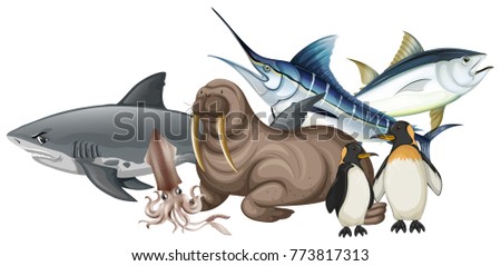 Different types of sea animals on white illustration