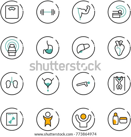 line vector icon set - floor scales vector, barbell, power hand, mri, stomach, liver, heart, lungs, bladder, push ups, pull, x ray, success, uv cream