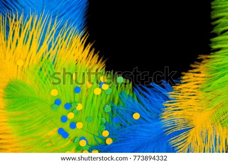 Poster for the carnival. Bright festive feathers in the color of the flag of Brazil.