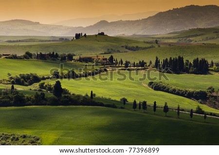 Green tuscany landscape in spring time