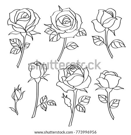 Vector set of simple roses. Vintage flowers
