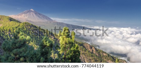 Panorama of the volcano Teide and Orotava Valley - view from Mirador de Chipeque (Tenerife, Canary Islands)  Royalty-Free Stock Photo #774044119
