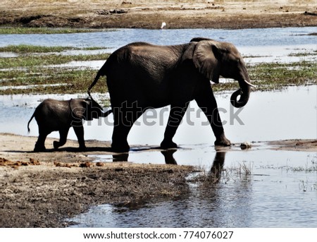 Elephant mom and baby at a waterhole