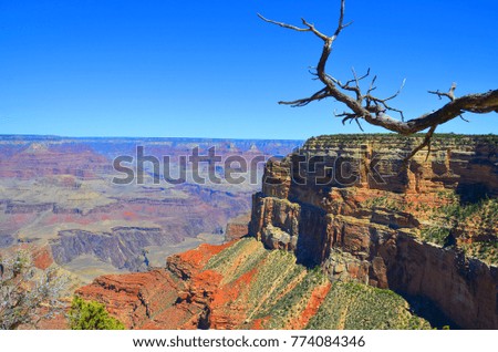 Grand Canyon National Park  and adjacent rim are contained within Grand Canyon National Park, the Kaibab National Forest, Grand Canyon-Parashant National Monument