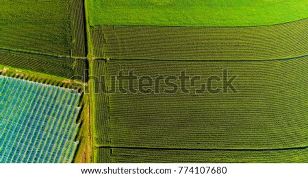 field landscape in aerial view