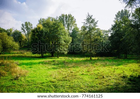 Grassy green field in Germany with bright sunlight during autumn and cloudy blue skies and summer trees