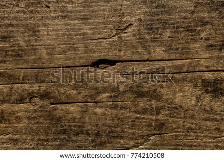 The texture of wood was pictured in closeup.