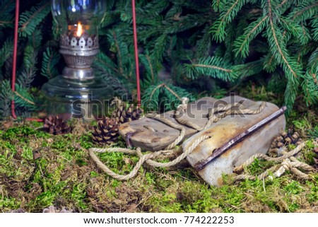 New Year's Retro composition. Old wooden skates under the fir tree.