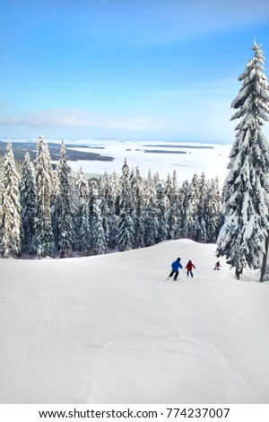 Nort Karelia,  Finland in Europe. Winter scenery picture. Vertical shoot.