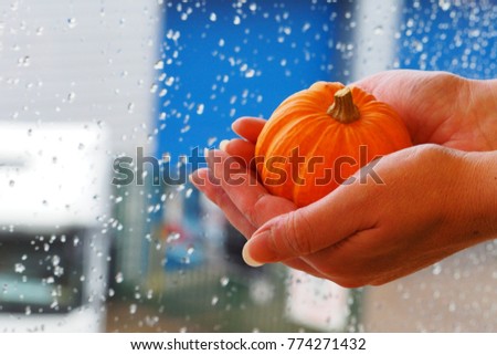 Small pumpkin or large hans
