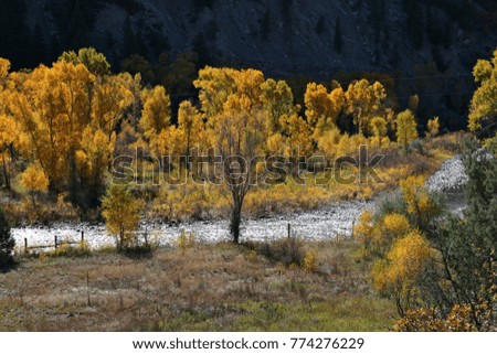 Fall Mountain Colors following a Rocky Mountain Stream flowing thru the rocks