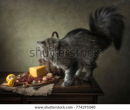 Still life with smoked meat and kitty