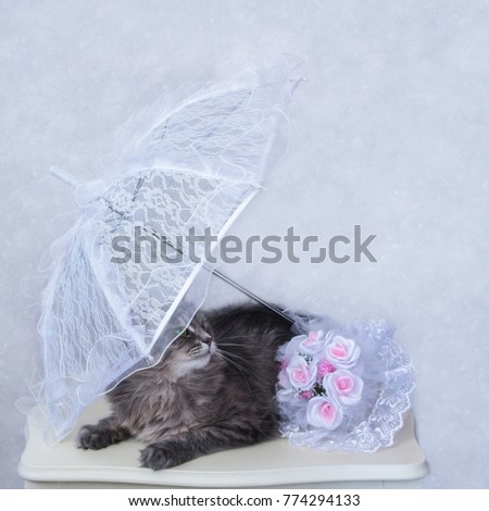 Kitty and wedding bouquet