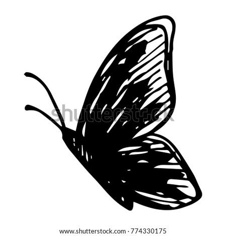 A sketch of a butterfly with folded wings. A flying butterfly. Vector illustration.