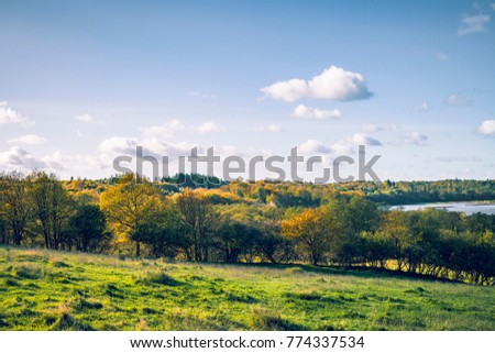 Autumn landscape with colorful trees on a green field in the fall under a blue sky