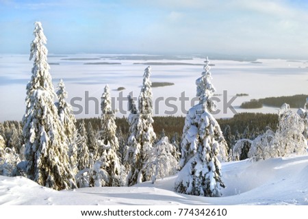 Winter scenery picture in (Kolin kansallispuisto) in Finland (Suomi), North Karelia.  Fascinating landscape  with a snow, sunshine and blue sky.