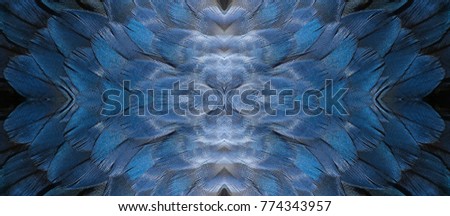 Abstract symmetric pattern of blue and grey feathers of wild duck close-up as background. The texture of the wing feathers. The image with mirror effect.  Kaleidoscopic abstract pattern