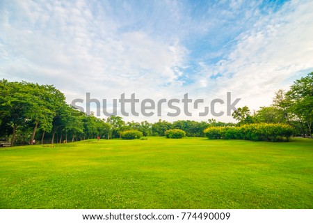 Green public park meadow blue sky for leisure landscape