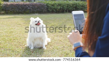 Woman taking photo on her dog in park 
