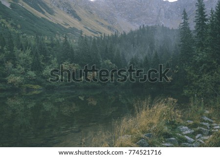 reflections of trees in the lake water at sunrise with morning mist over the water and heavy fog. mountain area water supply - vintage effect film look