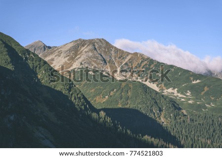western carpathian mountain tops in  autumn covered in mist or clouds. panoramic view from a distance  in sunrise light- vintage effect