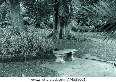 A bench in a tropical park. Photo in vintage style.