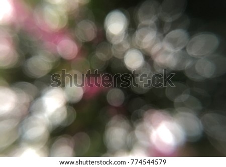 Nature blur abstract for background.