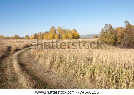 Autumn scenes. A picturesque dirt road in the autumn mixed forest.