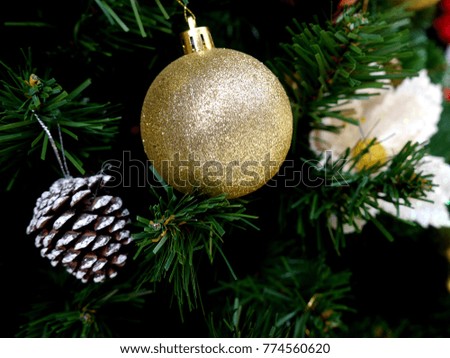 Christmas Beautiful pine
