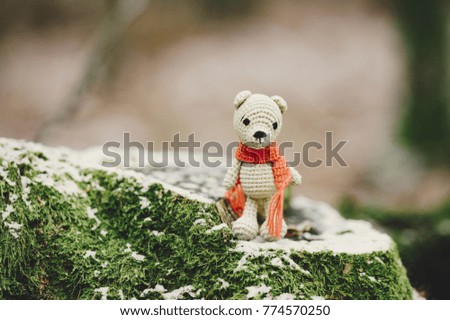 teddy bear walking in a red scarf in the forest
