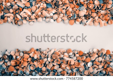 Shooting in the Studio . Seashells laid out on a light in the background of the stripes on the top and bottom of the picture ,in the middle there is empty space for text. Shooting from above