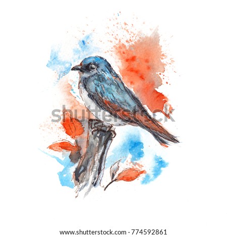 Blue and red bird painted with watercolor. Isolated in a white background. Raster illustration, autumn scene