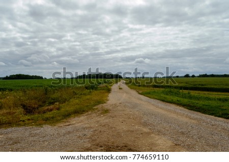 empty road in the countryside with trees in surrounding. perspective in summer. gravel surface in latvia